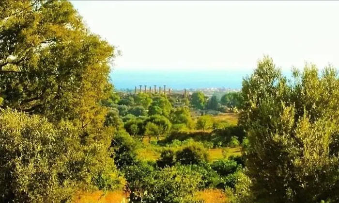 Guest house Tra Mare E Mito Agrigento